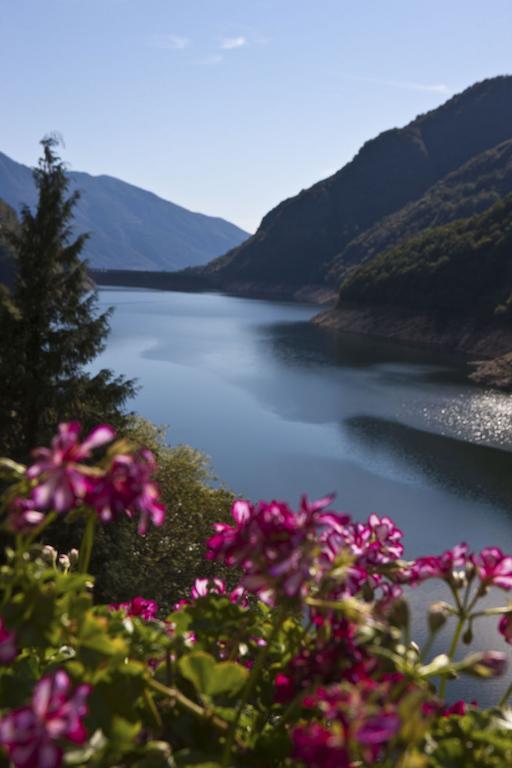 Hotel Al Lago Vogorno Eksteriør bilde